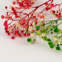 Набор сухоцветов &laquo;Гипсофилы&raquo;