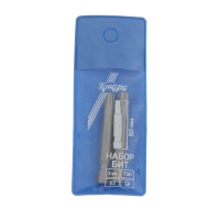 Биты ТУНДРА, намагниченные, сталь S2, T30 х 50 мм, 2 шт. Биты ТУНДРА, намагниченные, сталь S2, T30 х 50 мм, 2 шт.