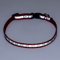 Ошейник светоотражающий с лапками 30 х 1 см, капрон, микс цветов Ошейник светоотражающий с лапками 30 х 1 см, капрон, микс цветов