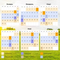 Семена Томат "Мамонтенок" набор 5 шт Семена Томат "Мамонтенок" набор 5 шт