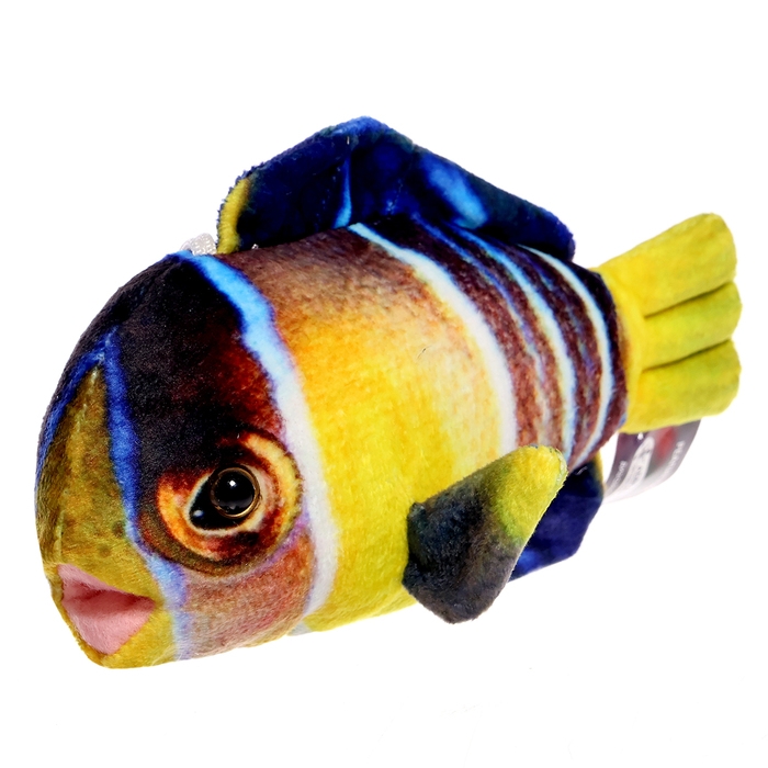 Мягкая игрушка «Рыбка бабочка мини», 16 см Мягкая игрушка «Рыбка бабочка мини», 16 см