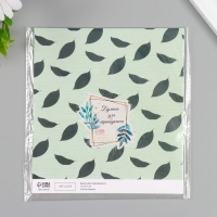 Бумага для скрапбукинга двусторонняя "Авокадо" плотность 180 гр набор 10 шт 15,5х17 см Бумага для скрапбукинга двусторонняя "Авокадо" плотность 180 гр набор 10 шт 15,5х17 см