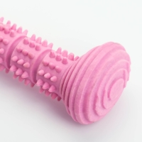 Игрушка для собак "Палка", TPR, массажная, 14,2 х 5,2 см, розовая