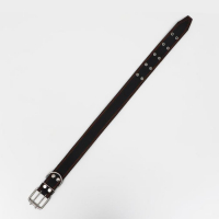 Ошейник кожаный на синтепоне, 82 х 4.5 см, ОШ 50-70 см, чёрный Ошейник кожаный на синтепоне, 82 х 4.5 см, ОШ 50-70 см, чёрный