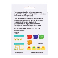 Развивающий набор &laquo;Умные мышата&raquo;