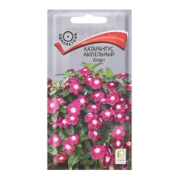 Семена цветов Катарантус ампельный "Атлант", 10 шт Семена цветов Катарантус ампельный "Атлант", 10 шт