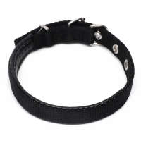 Ошейник "Комфорт" комбинированный, 39 х 1,5 см, ОШ 26-33 см, чёрный Ошейник "Комфорт" комбинированный, 39 х 1,5 см, ОШ 26-33 см, чёрный