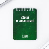 Подарочный набор на выпускной &laquo;Вперёд к знаниям!&raquo; ластики 2 шт, карандаши HB 2 шт, блокнот А7