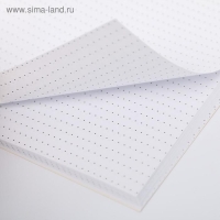 Ежедневник в точку &laquo;Однажды мечта сбудется&raquo;, А5, 64 листа с тиснением