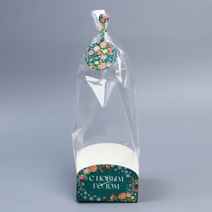 Пакет с коробкой &laquo;Новогодняя ботаника&raquo;, 12 х 12 х 40 см, Новый год