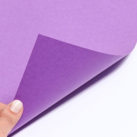 Картон цветной тонированный, А4, 16 листов, 16 цветов, немелованный, двусторонний, в пакете, 180 г/м², Человек-паук Картон цветной тонированный, А4, 16 листов, 16 цветов, немелованный, двусторонний, в пакете, 180 г/м², Человек-паук