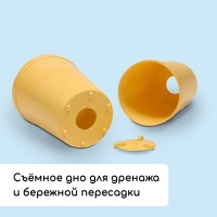 Набор для рассады: стаканы по 250 мл (18 шт.), поддон 40 &times; 20 см, цвет МИКС, Greengo