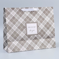 Пакет подарочный крафтовый с пластиковым окном, упаковка, &laquo;Мужской&raquo;, 31 х 26 х 10 см