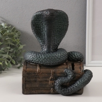 Копилка"КОБРА НА СУНДУКЕ " 20 х 17 х 12 см. Копилка"КОБРА НА СУНДУКЕ " 20 х 17 х 12 см.