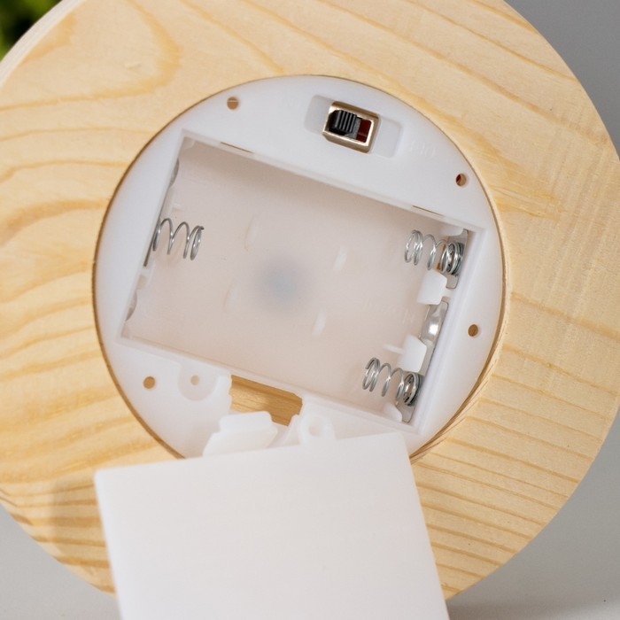 Ночник колба "Цветы" LED от батареек 3хААА 11х11х20 см RISALUX