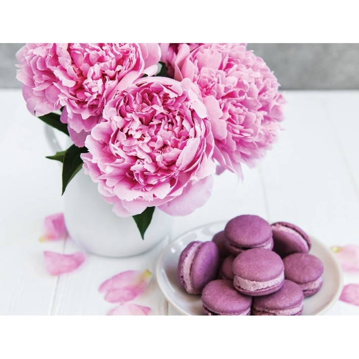 Картина по номерам на холсте с подрамником &laquo;Макаруны и цветы&raquo;, 40 х 30 см