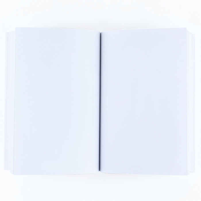 Скетчбук в мягкой обложке А5, 100 л. Бумага 100гр &laquo;Котики&raquo;