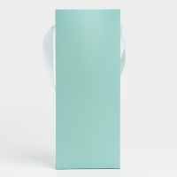 Пакет-переноска для цветов с пластиковым окном, «Для тебя», тиффани, 30 х 12 х 8 см Пакет-переноска для цветов с пластиковым окном, «Для тебя», тиффани, 30 х 12 х 8 см