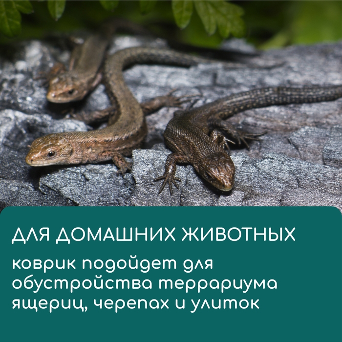 Коврик джутовый для выращивания микрозелени, 10 &times; 15 см, толщина 1 см, набор 5 шт.