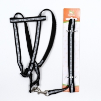 Комплект светоотражающий "Косточки", поводок 1 х 120 см (ОШ 22-34 см ,ОГ 22-34 см) чёрный Комплект светоотражающий "Косточки", поводок 1 х 120 см (ОШ 22-34 см ,ОГ 22-34 см) чёрный