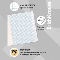 Тетрадь 48 листов в клетку ErichKrause "Найди кота", матовая ламинация, обложка мелованный картон, блок офсет, микс Тетрадь 48 листов в клетку ErichKrause "Найди кота", матовая ламинация, обложка мелованный картон, блок офсет, микс