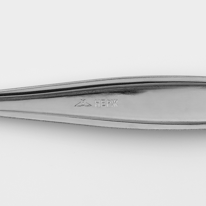 Ложка столовая &laquo;Силуэт&raquo;, длина 20 см, толщина 1 мм, упрощённой обработки, цвет серебряный