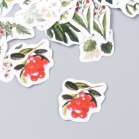 Наклейки для творчества "Ботанический сад" набор 46 шт 4,4х4,4х1,1 см