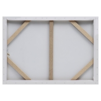 Картина-холст на подрамнике "Перья" 50х70 см