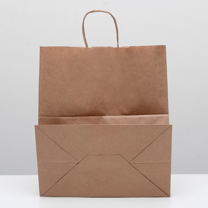 Пакет крафт без печати, круглая ручка 32 х 18 х 37 см, набор 10 шт Пакет крафт без печати, круглая ручка 32 х 18 х 37 см, набор 10 шт
