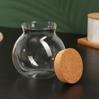 Банка стеклянная для хранения сыпучих продуктов &laquo;Бабл&raquo;, 1 л, 12,5&times;14 см, с пробковой крышкой