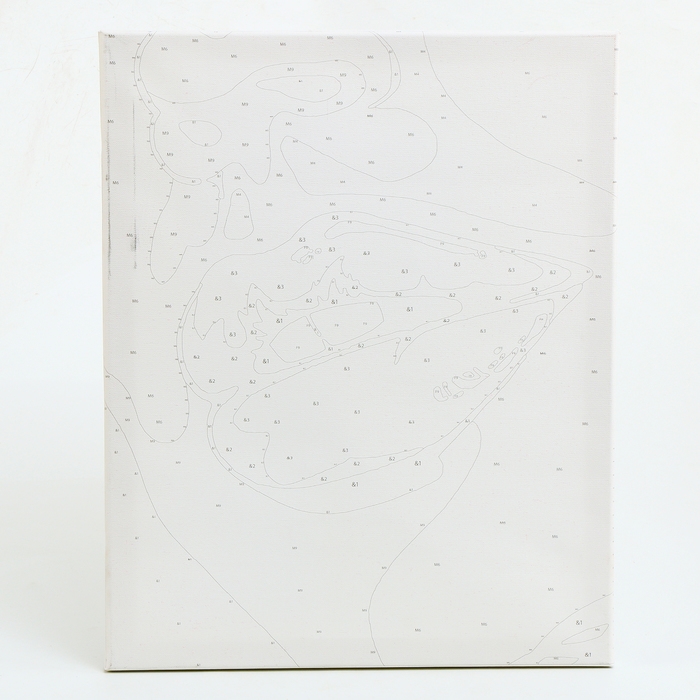 Картина по номерам &laquo;Женские штучки&raquo;, 7 цветов, с кристаллами из хрусталя, 40 &times; 50 см