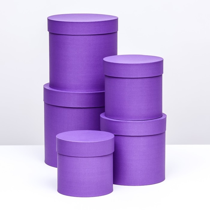 Набор шляпных коробок 5в1, темная лаванда, 23 х 23 - 15 х 15 см Набор шляпных коробок 5в1, темная лаванда, 23 х 23 - 15 х 15 см