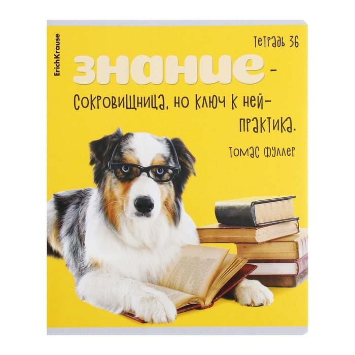 Тетрадь 36 листов в клетку, ErichKrause Тетрадь 36 листов в клетку, ErichKrause "Ученые собаки", обложка мелованный картон, блок офсет 100% белизна, МИКС