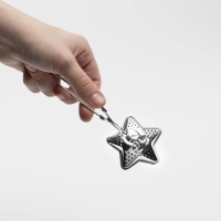 Сито из нержавебщей стали для чая Доляна &laquo;Звезда&raquo;, 16,5 см, цвет серебряный