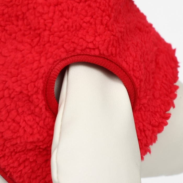 Новый год. Шапка для животных "Колпак", размер S(ОМ 15 см, длина 15 см), красный