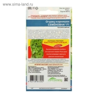 Семена Огурец "Семеновна" F1, скороспелый, партенокарпический, 10 шт Семена Огурец "Семеновна" F1, скороспелый, партенокарпический, 10 шт