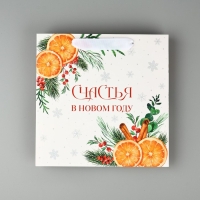 Пакет подарочный новогодний ламинированный квадратный &laquo;Счастья в Новом году&raquo;, 22 х 22 х 11 см , Новый год