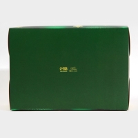 Коробка для капкейка &laquo;Зелёный фотографичный&raquo;, 23 х 16 х 10 см, Новый год