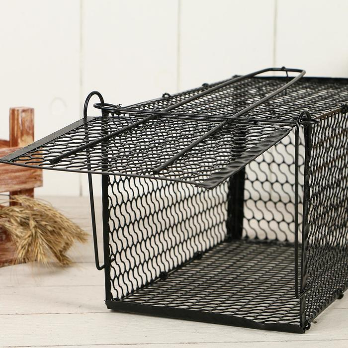 Крысоловка, 27 &times; 14 &times; 14 см, металлическая, Greengo