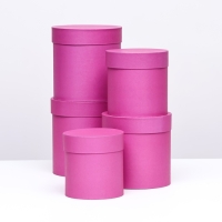 Набор шляпных коробок 5 в 1 "Фуксия", 20 &times; 20 &times; 20‒13,5 &times; 13,5 &times; 13,5 см