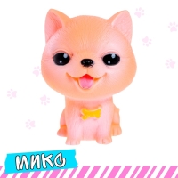 Питомец «Любимый», МИКС Питомец «Любимый», МИКС