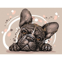 Картина по номерам на картоне «Французский бульдог», 30 × 40 см, с акриловыми красками и кистями Картина по номерам на картоне «Французский бульдог», 30 × 40 см, с акриловыми красками и кистями