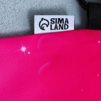 Мешок для обуви &laquo;Самая красивая&raquo; 2 секции, 30 х 40 см