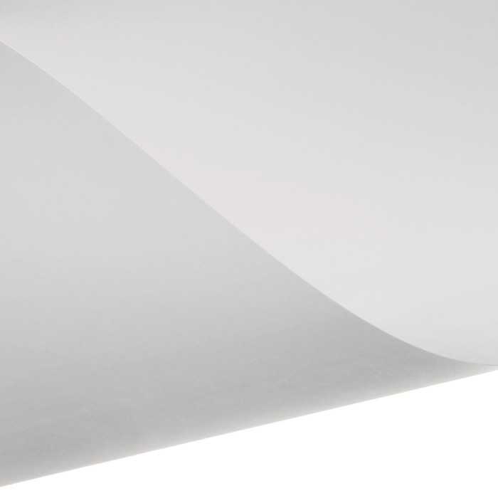 Набор ватманов чертёжных А4, 100 листов, 200 г/м², ГОЗНАК Набор ватманов чертёжных А4, 100 листов, 200 г/м², ГОЗНАК