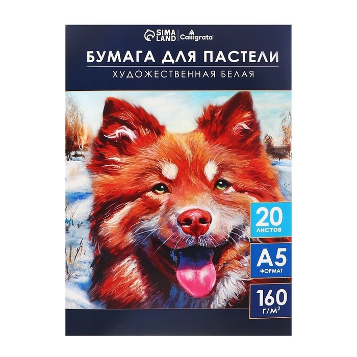 Бумага для пастели А5, 20 листов "Собака", блок 160 г/м2, в папке
