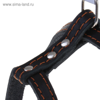 Шлейка кожаная "Прогулочная", 1,5 см, ОШ35-50 см, ОГ 60-68 см, чёрный Шлейка кожаная "Прогулочная", 1,5 см, ОШ35-50 см, ОГ 60-68 см, чёрный