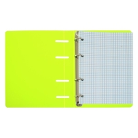 Тетрадь на кольцах A5 80 листов в клетку Calligrata Салатовая, пластиковая обложка, блок офсет Тетрадь на кольцах A5 80 листов в клетку Calligrata Салатовая, пластиковая обложка, блок офсет