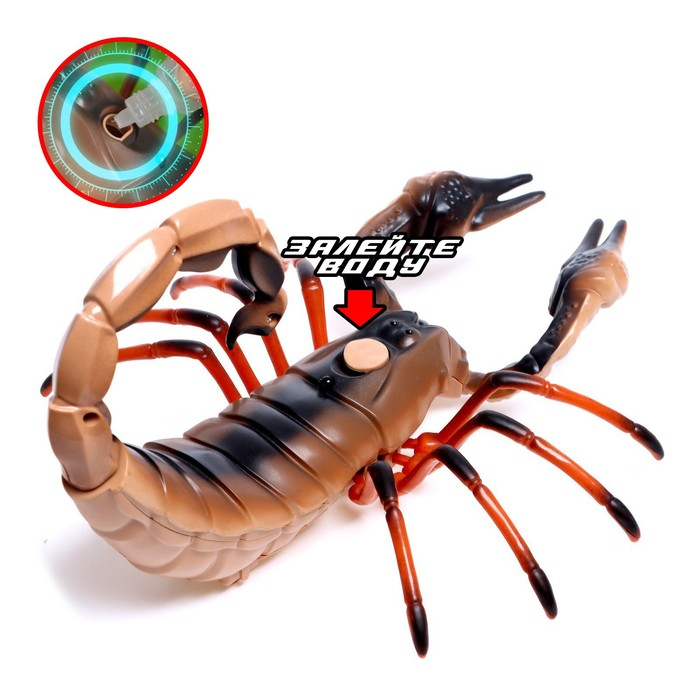 Скорпион радиоуправляемый, световые эффекты, работает от аккумулятора Скорпион радиоуправляемый, световые эффекты, работает от аккумулятора