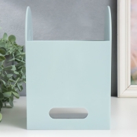 Шкатулка-органайзер пластик "Лаконичность" голубая 12х14,2х21 см Шкатулка-органайзер пластик "Лаконичность" голубая 12х14,2х21 см