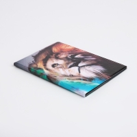 Обложка для паспорта, цвет разноцветный Обложка для паспорта, цвет разноцветный